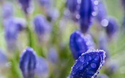 Ook in 2026 is er een tochtenkaart